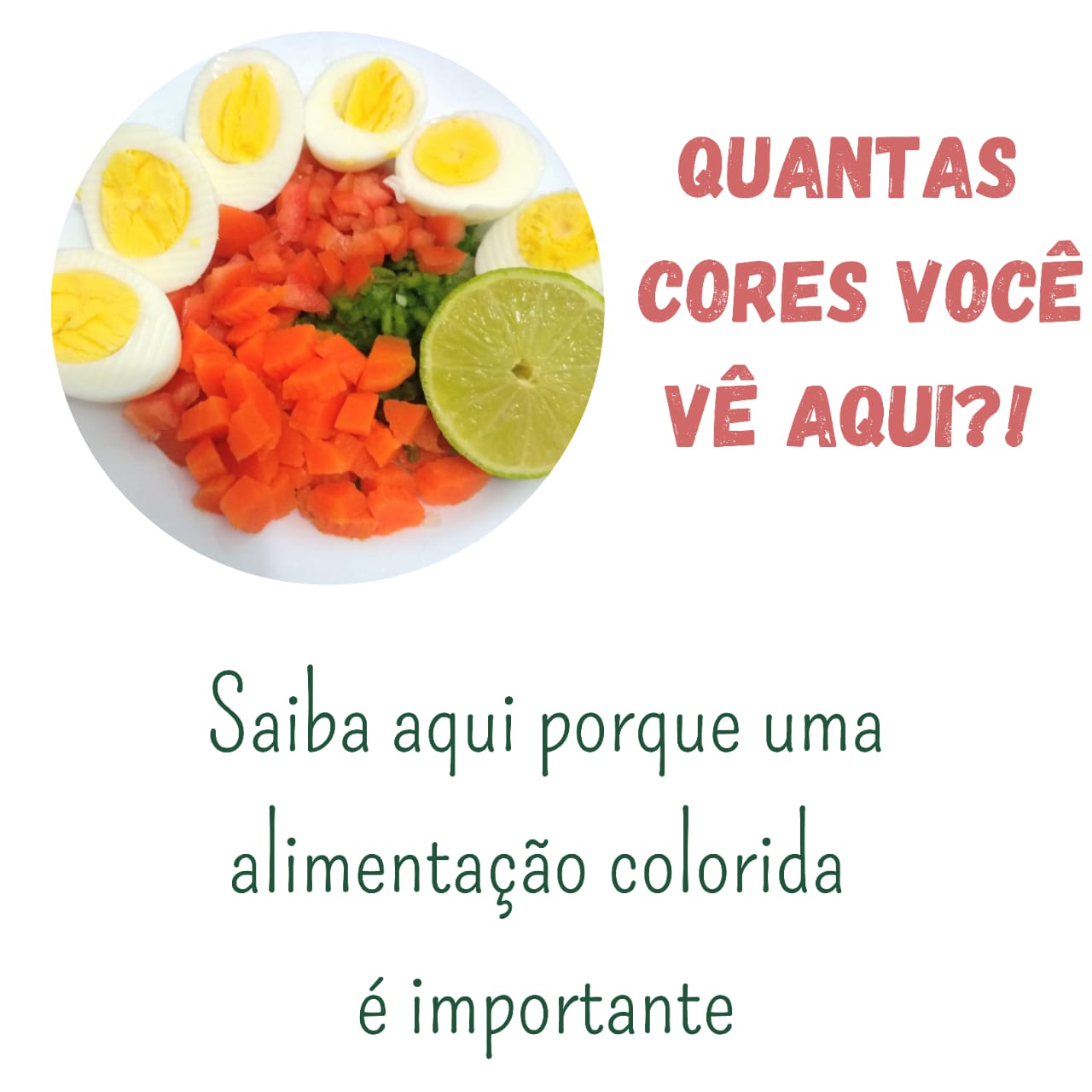 variedades de nutrientes